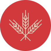 wheat icon